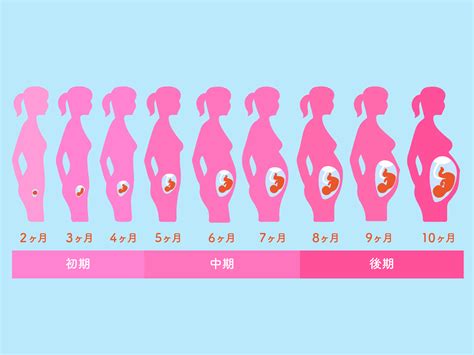 妊娠初期 ムラムラする|妊娠初期の性欲は？ムラムラが強くなる理由